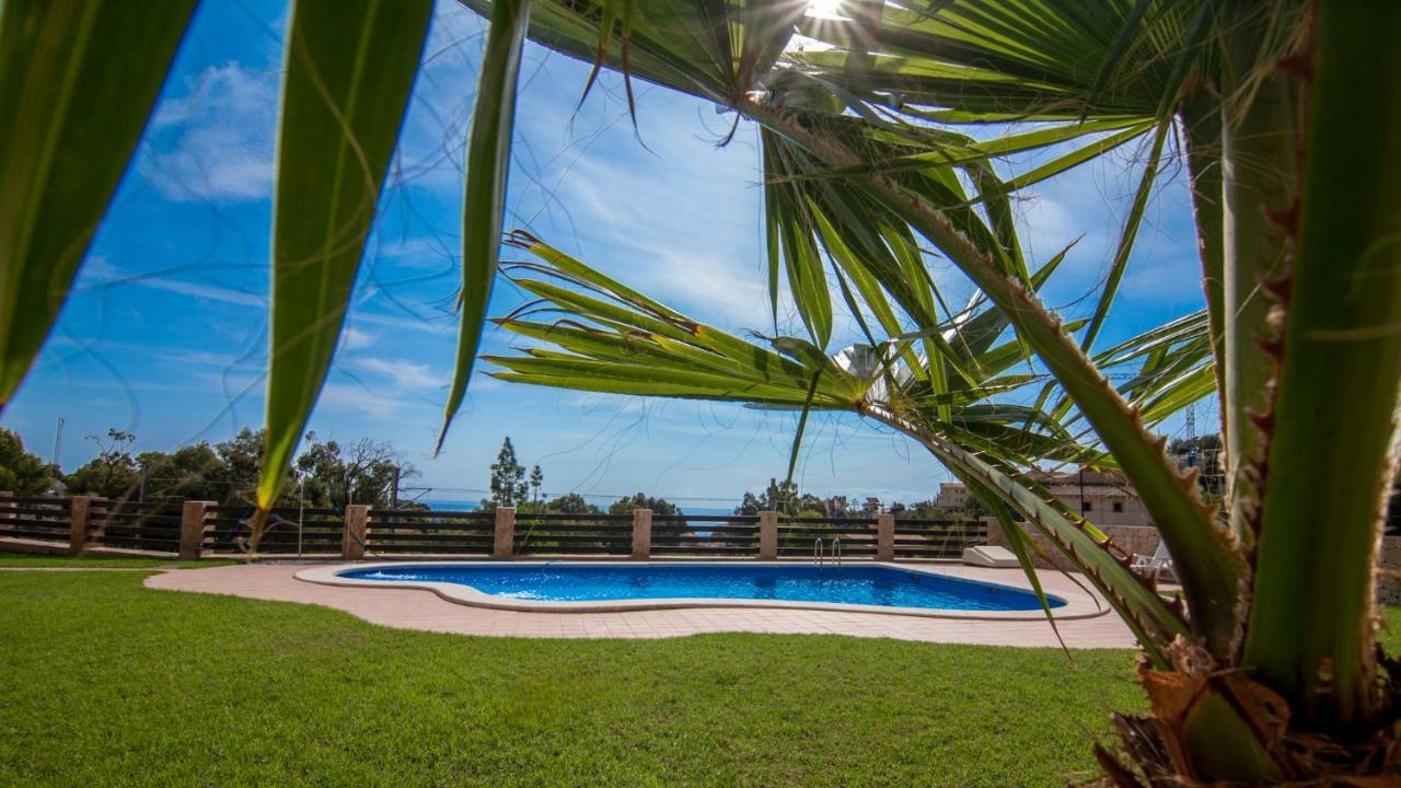 Villa Paradise Campello El Campello Ngoại thất bức ảnh